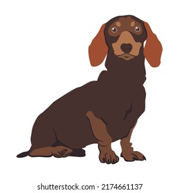 Cartoon dachshund dog breeds flat icon. Happy pet vector illustration. Corgi, Basenji, malamute, Samoyed. Mammals and animals concept