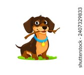 Cartoon dachshund dog puppy character. Vector charming pet with floppy ears and a wagging tail, sitting on grass with wooden stick in teeth, radiating playful energy and a lovable adorable nature