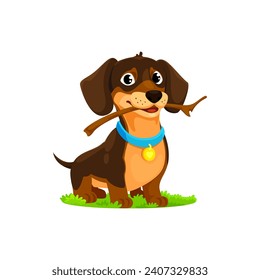 Cartoon dachshund dog puppy character. Vector charming pet with floppy ears and a wagging tail, sitting on grass with wooden stick in teeth, radiating playful energy and a lovable adorable nature