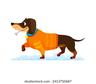 Cartoon dachshund dog puppy character adorned in cozy winter clothes, brims with adorable charm. Cute vector pet wear snug sweater, ready to embrace the winter wonderland with bone and wagging tail