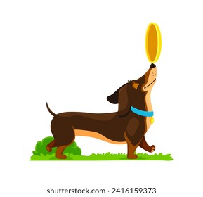 Cartoon dachshund dog puppy character joyfully plays with a flying plate in the park, ears flopping, tail wagging. Vector doggy pet express pure canine delight amidst summer nature vibrant backdrop