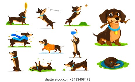 Dibujos animados dachshund perro cachorro personajes actividades y diversión. Personaje de perro vectorial jugando al aire libre con una pelota, rama y placa voladora, atrapar huesos y perseguir mariposas, usar ropa o dormir