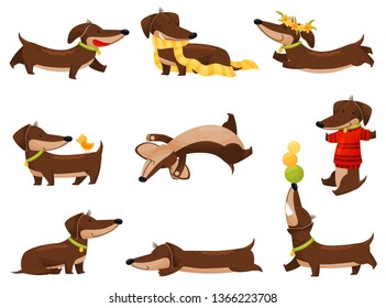 Cartoon dachshunds on white background. Vector illustration.