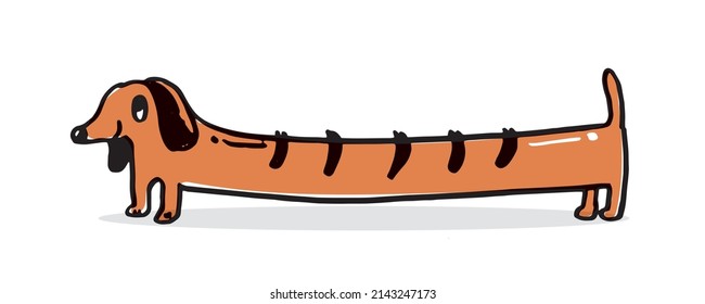 Dachshunds de dibujos animados sobre fondo blanco, Dachshund feliz de dibujos animados, Ilustración plana vectorial para huellas, ropa, empaque y postales, doodle lindo de dibujo de mano de perro lindo vector de perro, animal lindo