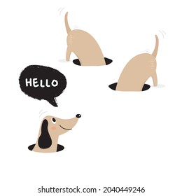 Cartoon dachshunds on white background,Cartoon happy dachshund,Flat vector illustration for prints, clothing, packaging and postcards, cute dog, cute animal