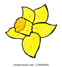 cartoon daffodil