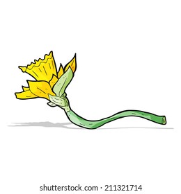 Cartoon Daffodil Flower