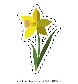 cartoon daffodil flower leaf bloom
