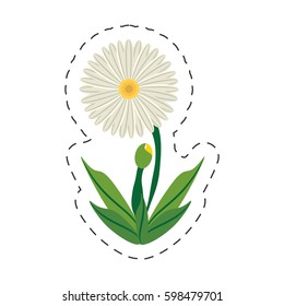 cartoon daisy flower image vector illustration eps 10