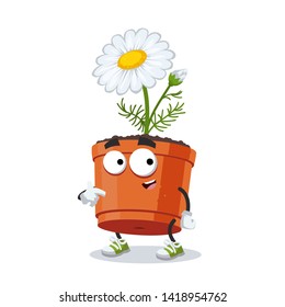cartoon daisy flower in a pot mascot showing himself on a white background
