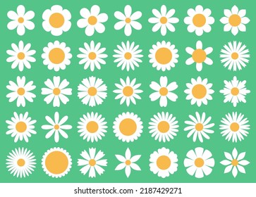 Cartoon daisy flowers. Different primitive chamomiles, decorative white simple plants, various petals, summer blossom round icons, decor elements, tidy vector isolated botanical set