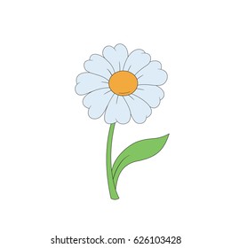 Cartoon daisy. Simple flower on white background. Vector illustration.