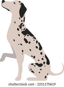 Caricatura dalmatiana. Perro con vista lateral de la pezuña