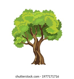 Cartoon deciduous tree isolated on white background, vector template, flat design.