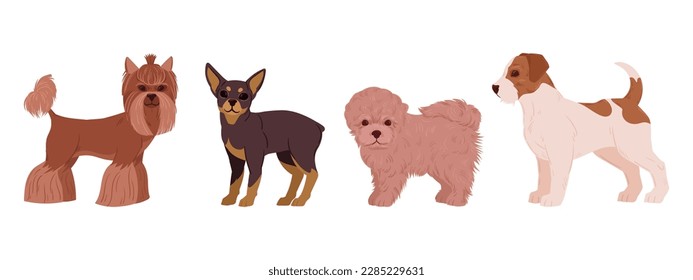 Cartoon decorative dogs. Cute little yorkshire terrier, toy terrier, bichon frise and jack russell terrier puppies. Happy domestic pets flat vector illustration set