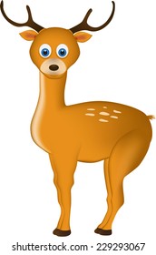 cartoon deer 