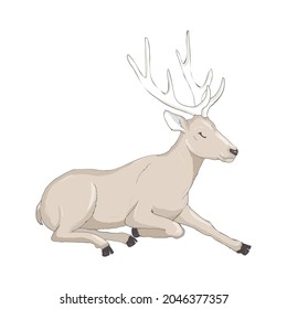 Cartoon deer - cute character for children. Vector illustration in cartoon style.