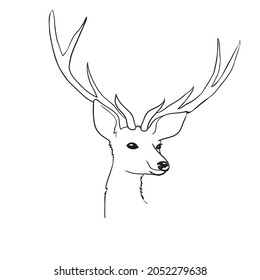 Cartoon deer - cute character for children. Vector illustration in cartoon style.