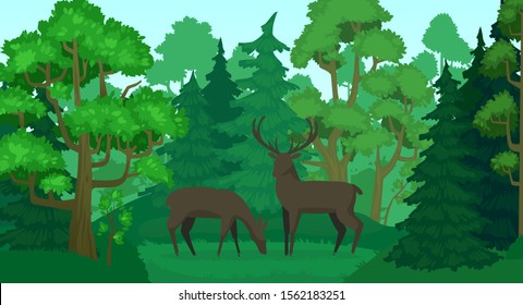 Cartoon deer in forest landscape. Deers in woods, forest field and green trees. Wildlife animals, doe and deer wood scenery or standing elks mammals forests scene vector illustration