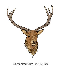 Cartoon deer head with antlers isolated on white background
