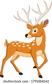 Cartoon deer isolated on white background