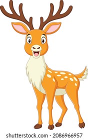 Cartoon deer isolated on white background