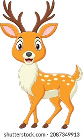 Cartoon deer isolated on white background