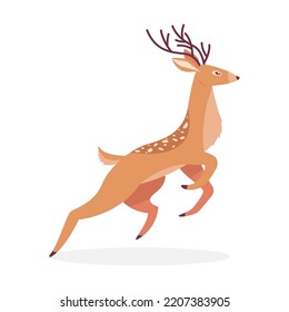 Cartoon deer. Male horny isolated on white. Vector illustrations for wildlife, animals family, forest fauna