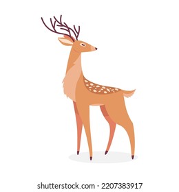 Cartoon deer. Male horny spotted reindeer isolated on white. Vector illustrations for wildlife, animals family