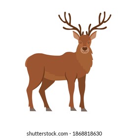 Cartoon Deer On White Background Flat Stock Vector (Royalty Free ...