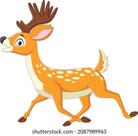 Cartoon deer walking on white background