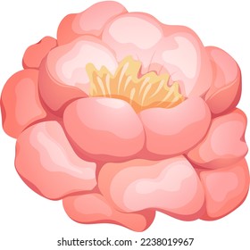Cartoon delicate pink and white peony, blooming flower on transparent background