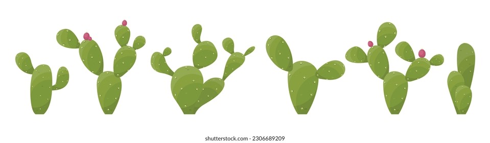 Cartoon desert cactus plants isolated on white. Desert plants vector illustration