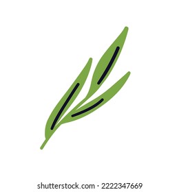 Cartoon design food element. Hand drawn leaves