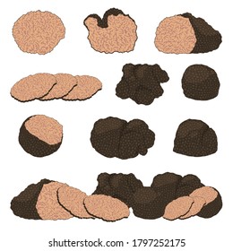 Cartoon Different Black Truffle Icon Set Delicacy Expensive Product Concept Flat Design Style. Vector illustration of Icons