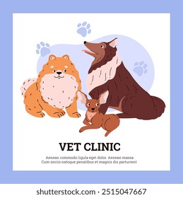 Cartoon different breeds dogs on Vet clinic flat vector poster design. Happy friendly canine purebred animals. Cute Spitz, collie and chihuahua pets. Veterinary and grooming service