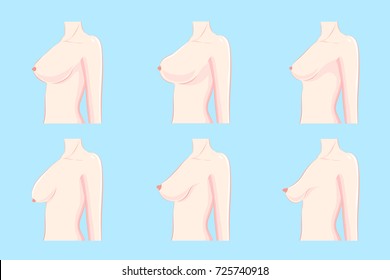 cartoon different chest shape on the blue background