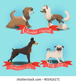 Cartoon different dog breeds set. Chinese crested and powder puff, pug dog, doberman.