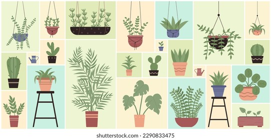 Cartoon different houseplants for home garden and interior decoration, hanging potted tropical plants in geometric collage background. Green plants in pots set for floral design vector illustration