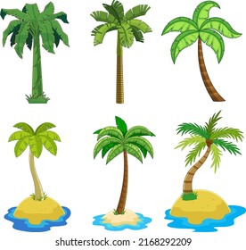 Cartoon Different Tropical Palm Tree. Vector Hand Drawn Collection Set Isolated On White Background