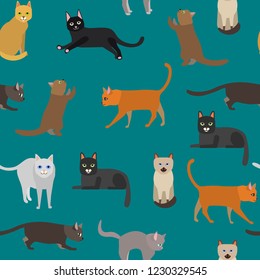 Cartoon Different Types Cute Cats Characters Seamless Pattern Background Domestic Pet Concept Flat Design Style. Vector illustration of Cat