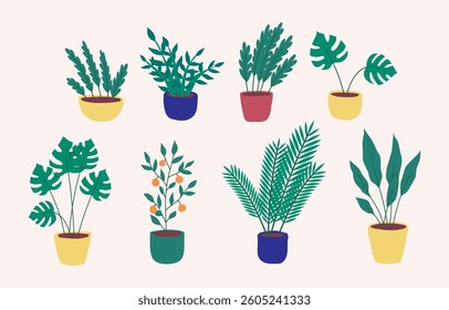 Cartoon Different Types Potted Plants Set Interior Element Concept Flat Design Style Include of Zamiokulkas and Fern. Vector illustration of Houseplants