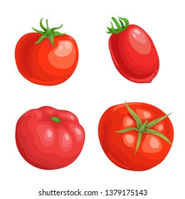 Cartoon different types tomatoes set. Red ripe vegetables isolated on white background. Vector illustrations.