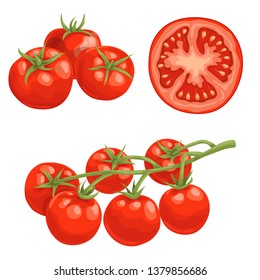 Cartoon different types tomatoes set. Red ripe vegetables isolated on white background. Group, slice and cherry tomatoes on branch. Vector illustrations.