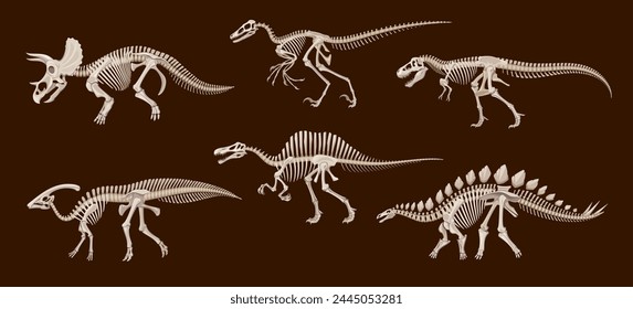 Cartoon dinosaur fossil skeletons, vector dino animals skulls and bones. Triceratops, tyrannosaurus rex, stegosaurus and spinosaurus, parasaurolophus and utahraptor ancient reptile monster skeletons