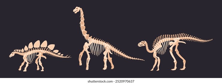 Cartoon dinosaur skeletons. Herbivore iguanodon and diplodocus fossil silhouettes, ancient ornithopod dinosaur, jurassic raptor bones flat vector illustration set. Archaeological fossil skeletons