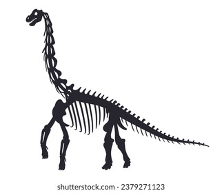 Cartoon diplodocus fossil. Jurassic period dinosaur skeleton, ancient diplodocus bones flat vector illustration. Archaeological fossil skeleton silhouette