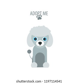 Cartoon dog. Adopt me. Cute pooch character. Poodle. Funny baby puppy. Love Greeting card. Flat design. White background Isolated.