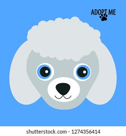Cartoon dog. Adopt me. Cute pooch character. A poodle. Funny baby puppy. Love Greeting card. Flat design. Cyan background Isolated.