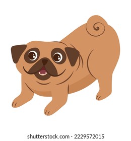 Cartoon dog animal playing on white background. Cute dog in action and emotion. Happy pet. Funny puppy avatar vector. Cartoon illustration